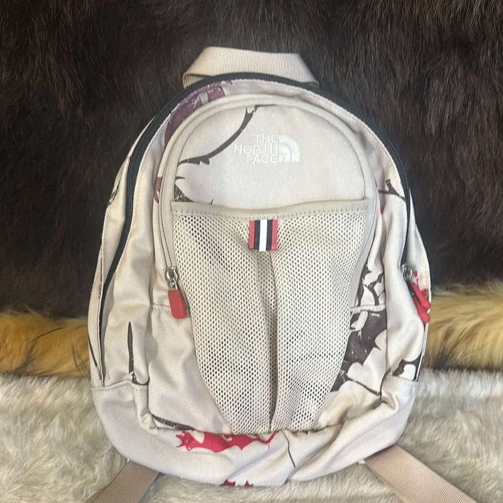 The North face mini backpack (3450)